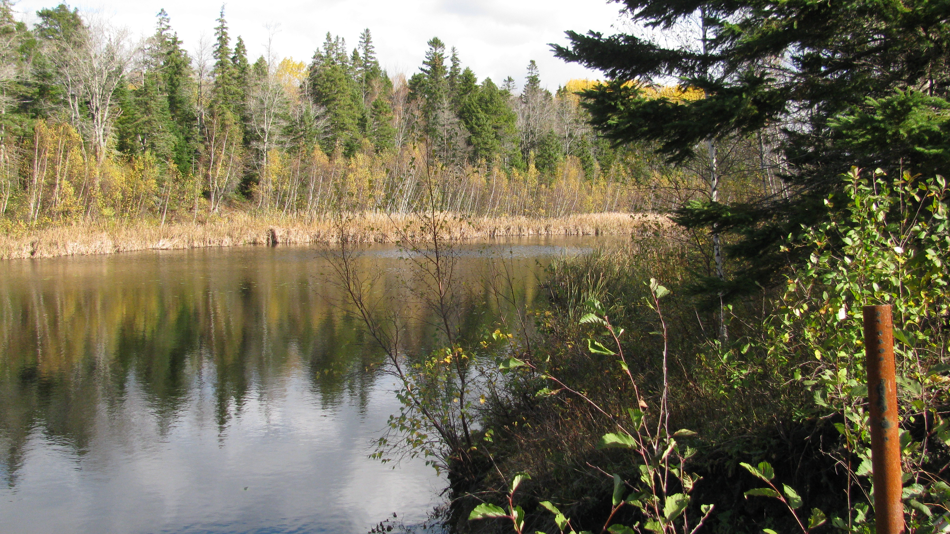 Thorburn Trail.png